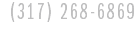  (317) 268-6869